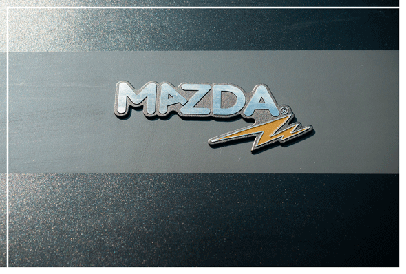 Mazda Pool spezifischer Kundenservice für Profis